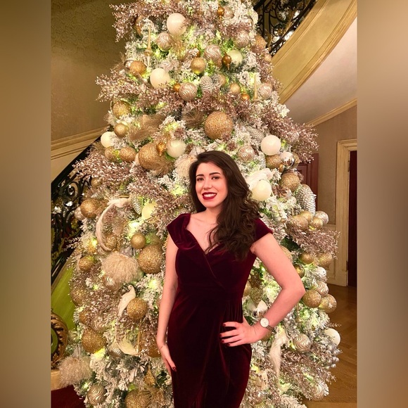 Burgundy XSCAPE Velvet Dress Size 8 - Picture 4 of 5